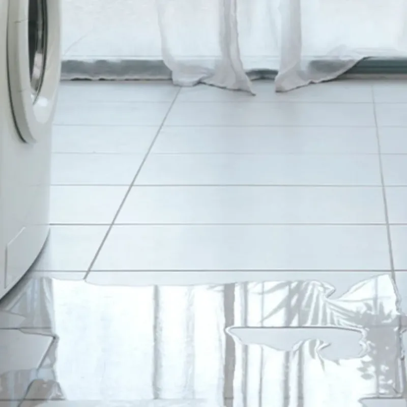Appliance Leak Cleanup in Perquimans County, NC