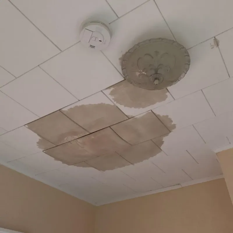 Ceiling Water Damage Repair in Perquimans County, NC