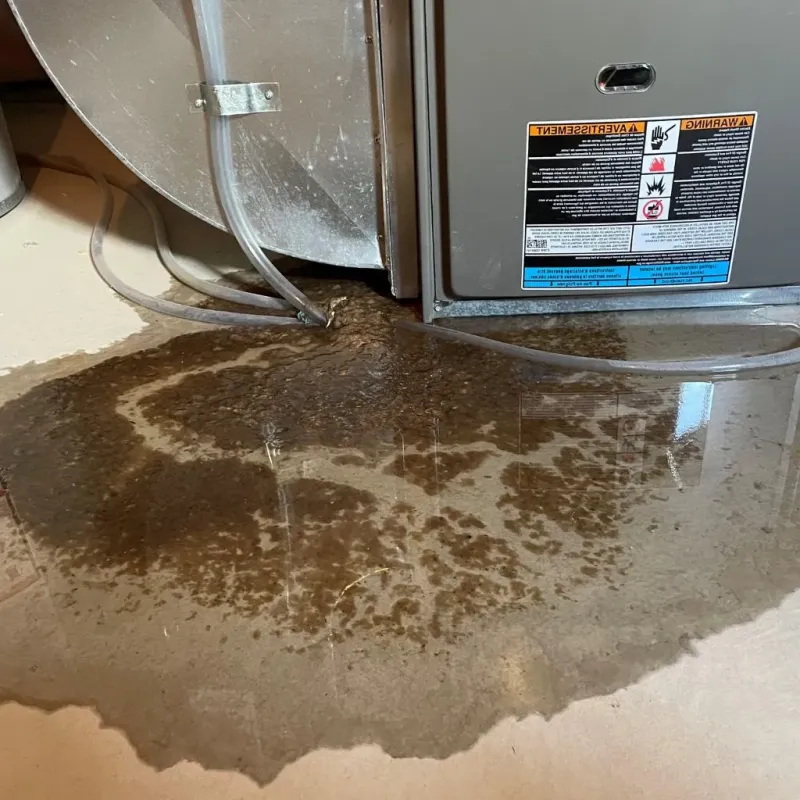 Pipe Burst and Leak Restoration in Perquimans County, NC