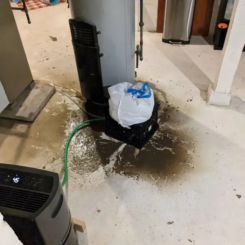 Sewage Backup Cleanup Service in Perquimans County, NC